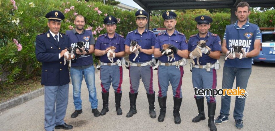Cassino / Polizia di Stato salva cuccioli di cane