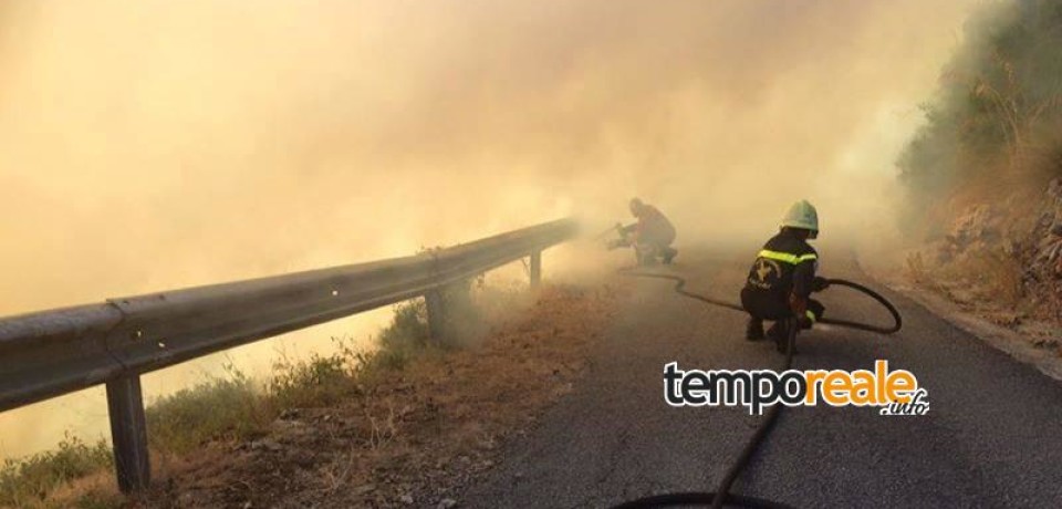 Fondi / Ancora fuoco nei boschi e tra le abitazioni periferiche, brucia Cocuruzzo