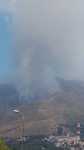 IMG-20160820-WA0005