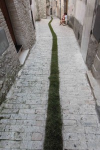 Maranola-2_foto_Margherita_Zanardi