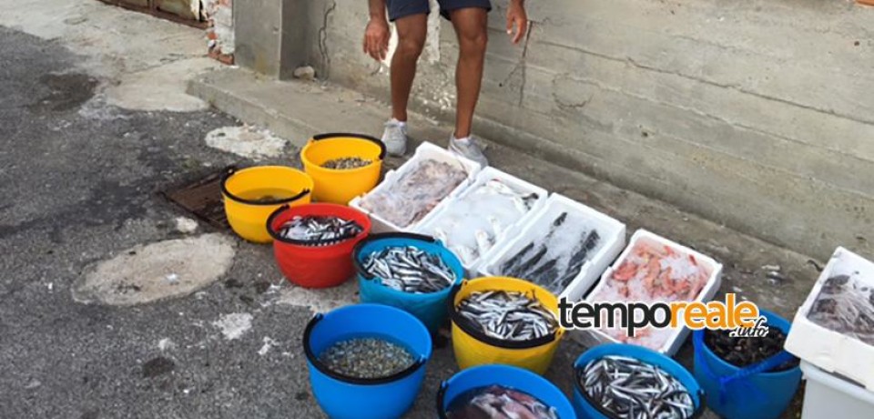 Pescato, la capitaneria eleva multe a Cassino, Fondi e Minturno per 7.500 euro