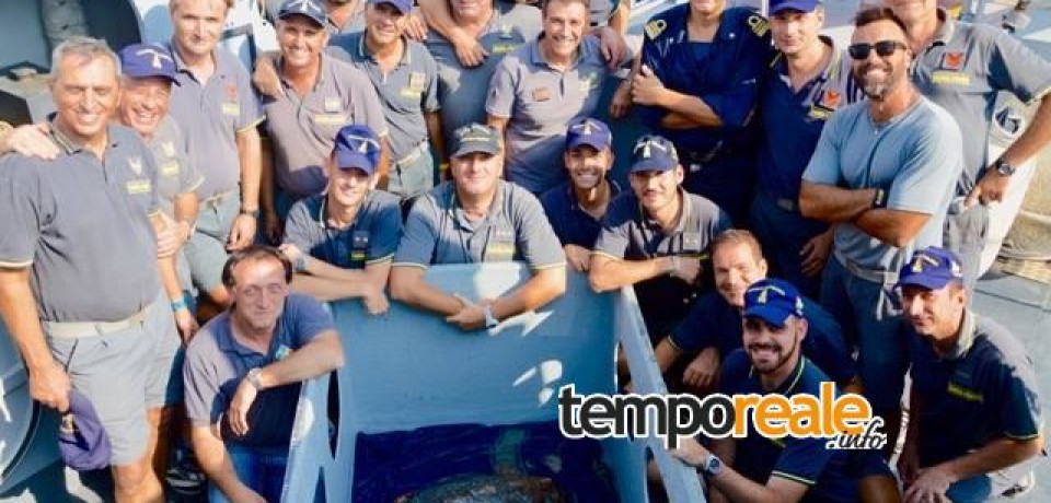 Gaeta / La guardia di finanza recupera una tartaruga Caretta Caretta in cattive condizioni
