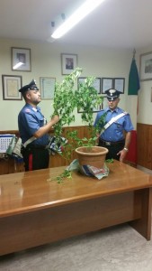 carabinieri-fondi