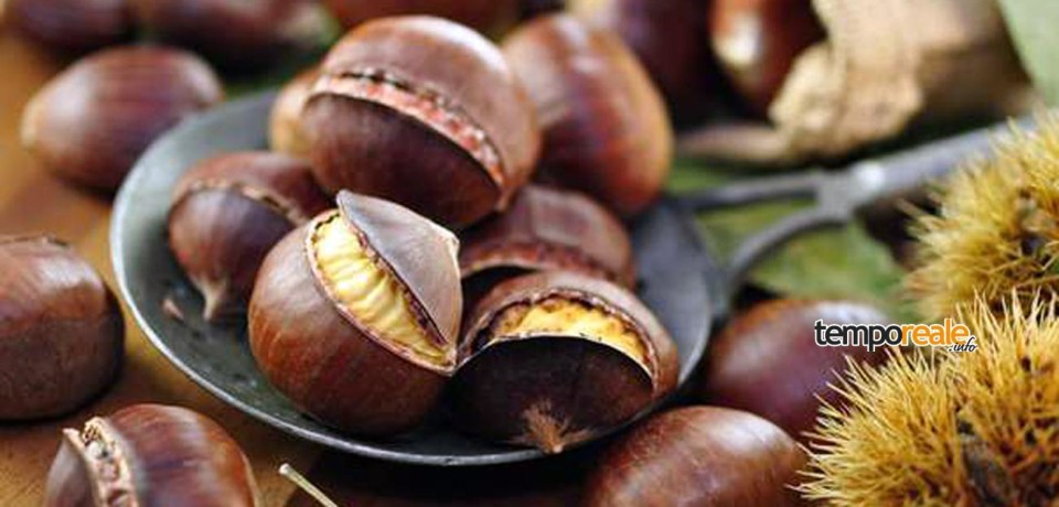 Santi Cosma e Damiano / Tutto pronto per la 15^ edizione della Sagra delle Castagne