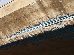 ponte penitro 2
