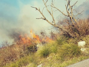 incendio spigno superiore 2