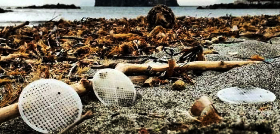 Dischetti di plastica invadono le spiagge: forse provenienti da impianti di depurazione