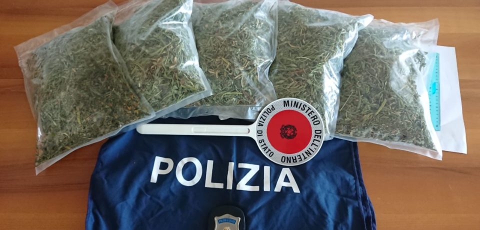 Formia / Marijuana nascosta nell’ex D’Agostino, il blitz della Polizia
