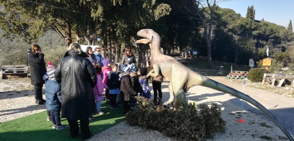 Pontecorvo / Ultimi giorni per visitare il Parco paleontologico di Monte Menola
