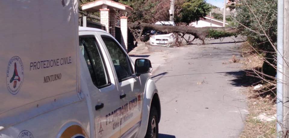 Maltempo, alberi caduti e disagi a Minturno e Scauri (foto)