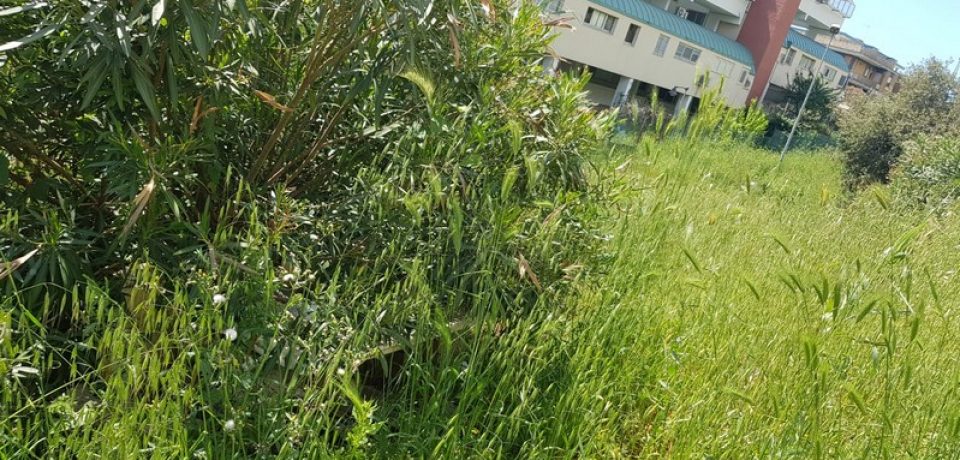 Formia / Il quartiere di Rio Fresco Scacciagalline nel degrado, l’appello dei residenti
