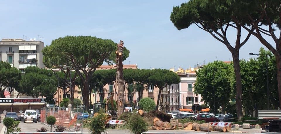 Gaeta / Mitrano come Attila: alberi tagliati in centro e parcheggio nell’ex area del Parco di Monte Orlando