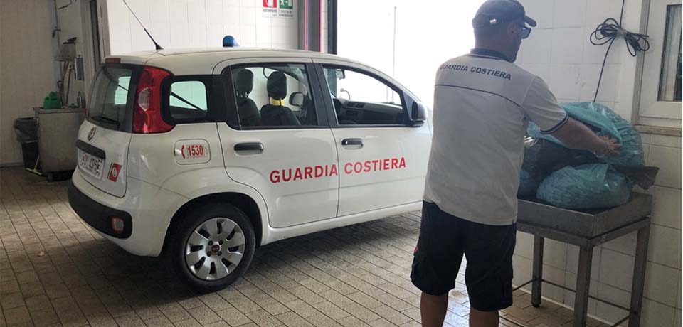 Formia / La Guardia Costiera sequestra 70 kg di cozze raccolte sulla scogliera della Marina di Levante