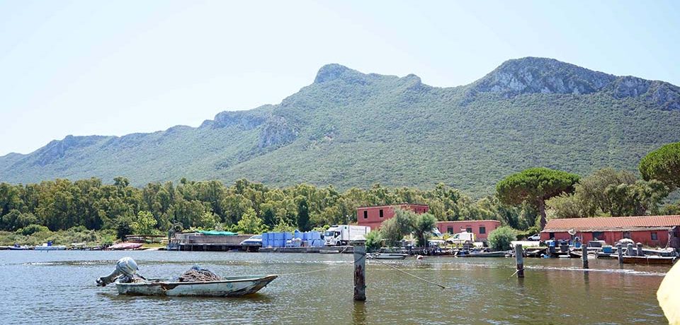 Sabaudia / Dati di Goletta Verde sul Lago di Paola, il Comune predispone immediate verifiche