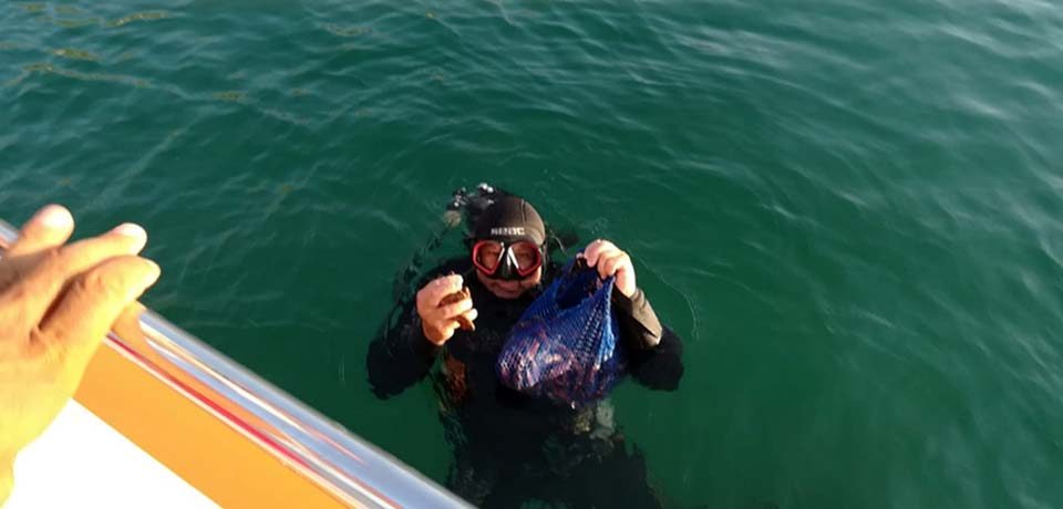 Formia / Pescatori di frodo speronano la Guardia costiera: sequestrati 50 chili di datteri di mare