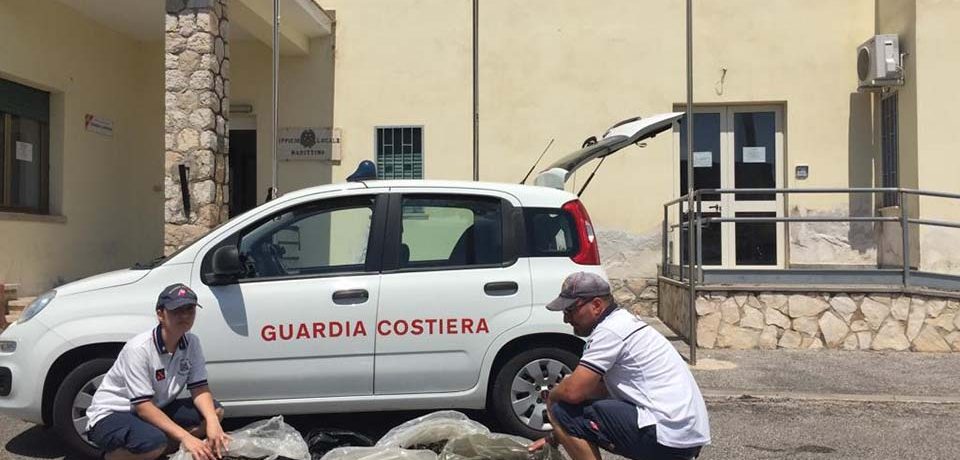 Formia / Sequestrati 160 chili di cozze, multati 5 pescatori per oltre 32mila euro