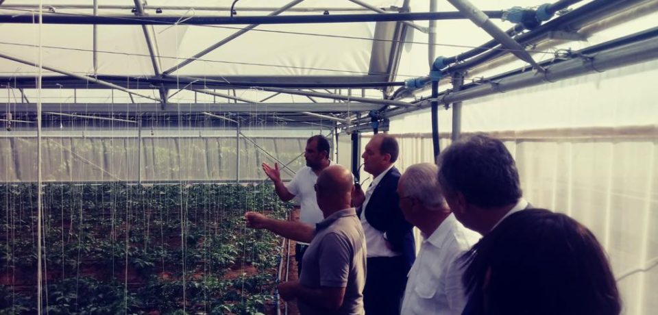 Comparto agricolo in crisi, la visita di Fratelli d’Italia a Fondi e Sperlonga
