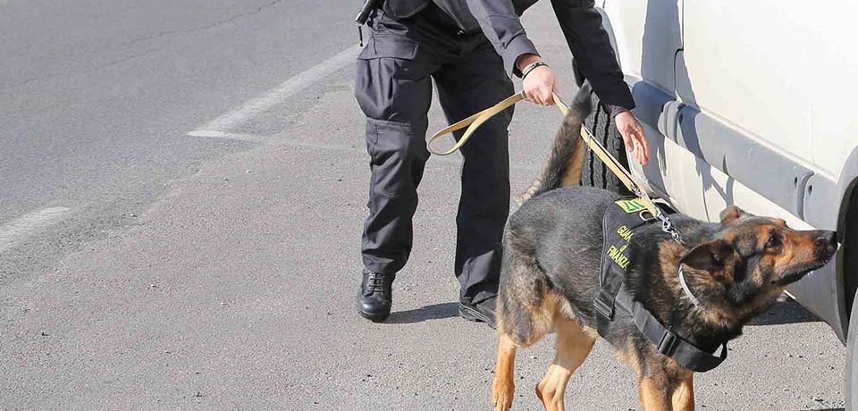 Formia / Sequestrati 200 grammi di hashish, arrestato uno spacciatore
