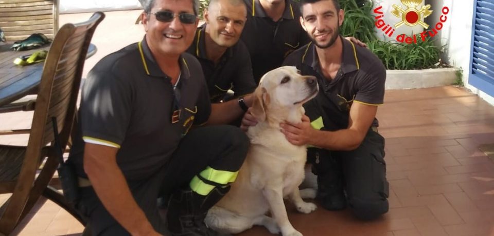 Gaeta / Vigili del Fuoco salvano un cane bloccato sugli scogli