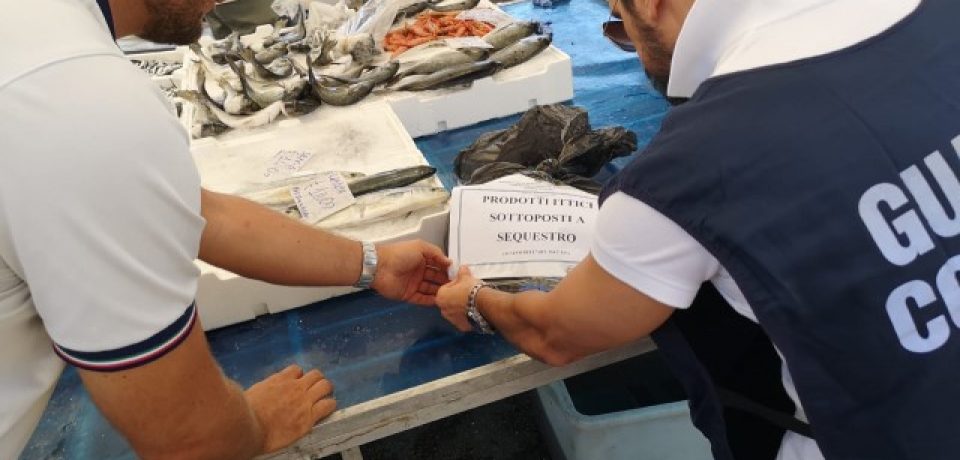 Gaeta / Maxi operazione sulla filiera della pesca, 22 sequestri