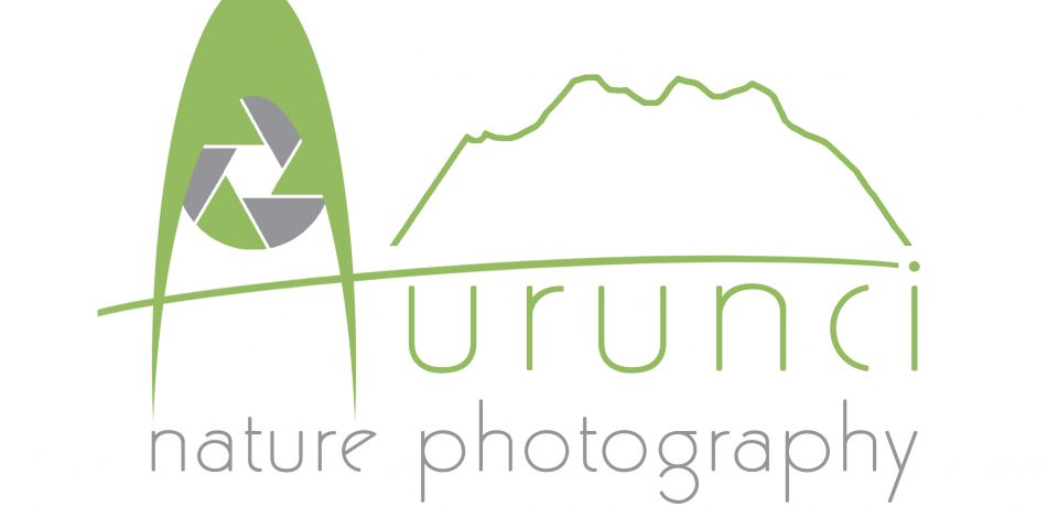 Aurunci Nature Photography: dieci autori in mostra a Spigno Saturnia