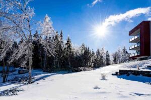 Giornata di sole in inverno