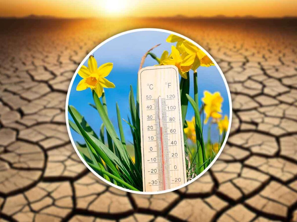 Terreno secco per il caldo e termometro