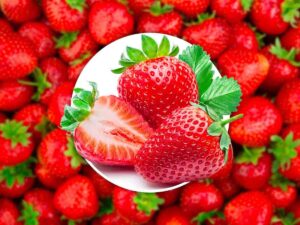 Fragole