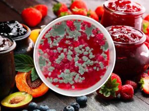 Muffa sulla marmellata