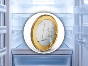 1 euro nel freezer