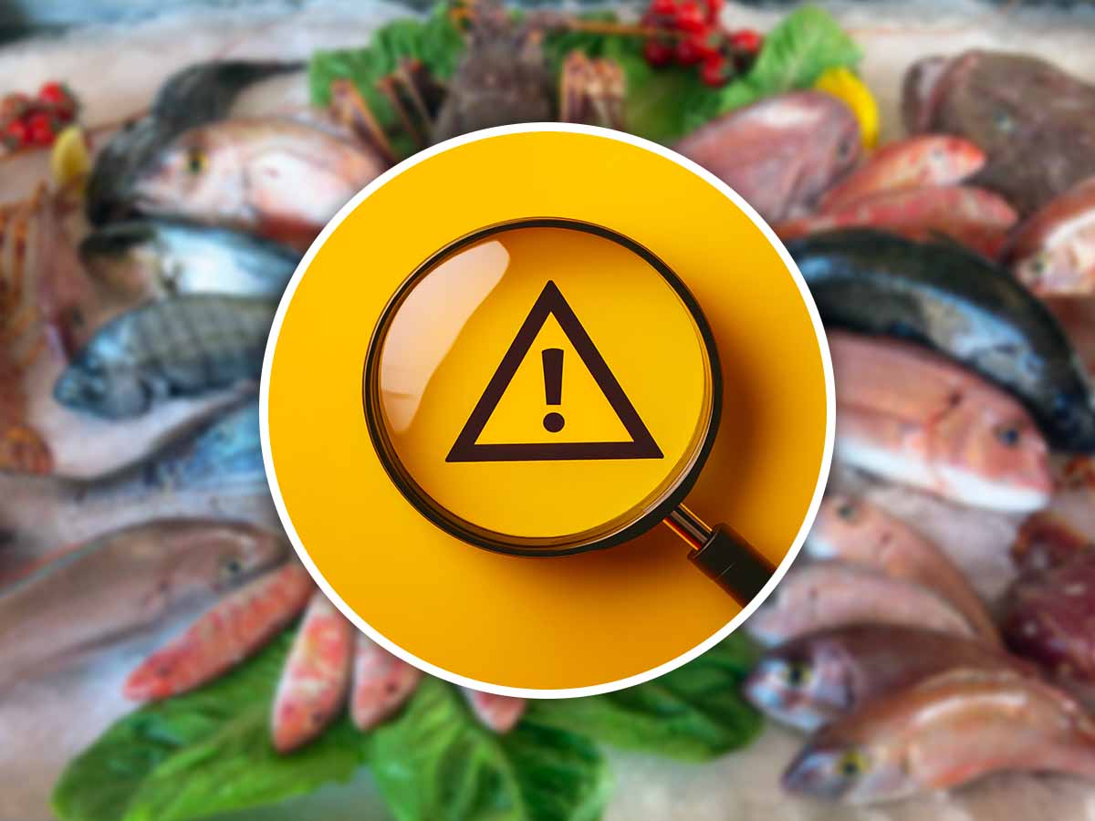 Siamo in pericolo, allerta del Ministero: non consumate questo pesce Siamo in pericolo, allerta del Ministero: non consumate questo pesce