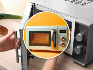 forno a microonde
