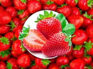 fragole