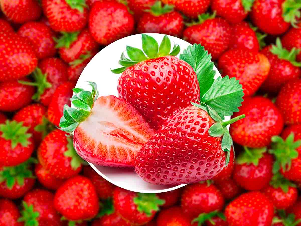 Come evitare che le fragole diventino marce, conservale al meglio con questo trucco Come evitare che le fragole diventino marce, conservale al meglio con questo trucco