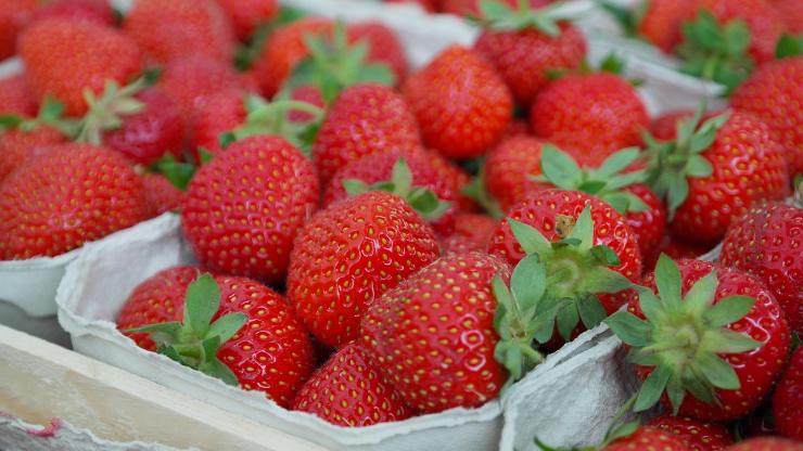 fragole in vaschetta