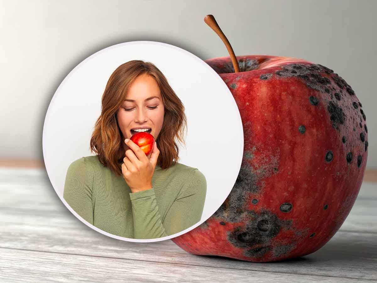 Posso mangiare la frutta dopo aver tolto la muffa? La risposta non lascia dubbi Posso mangiare la frutta dopo aver tolto la muffa? La risposta non lascia dubbi
