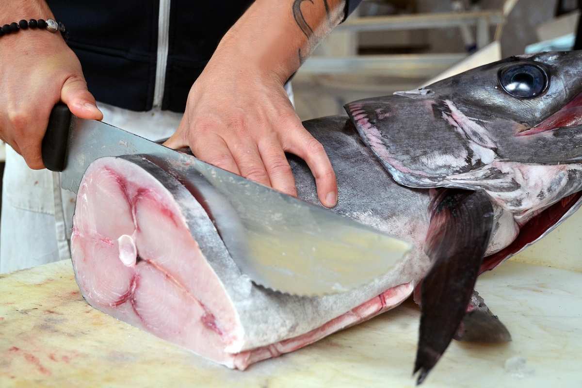 pesce spada