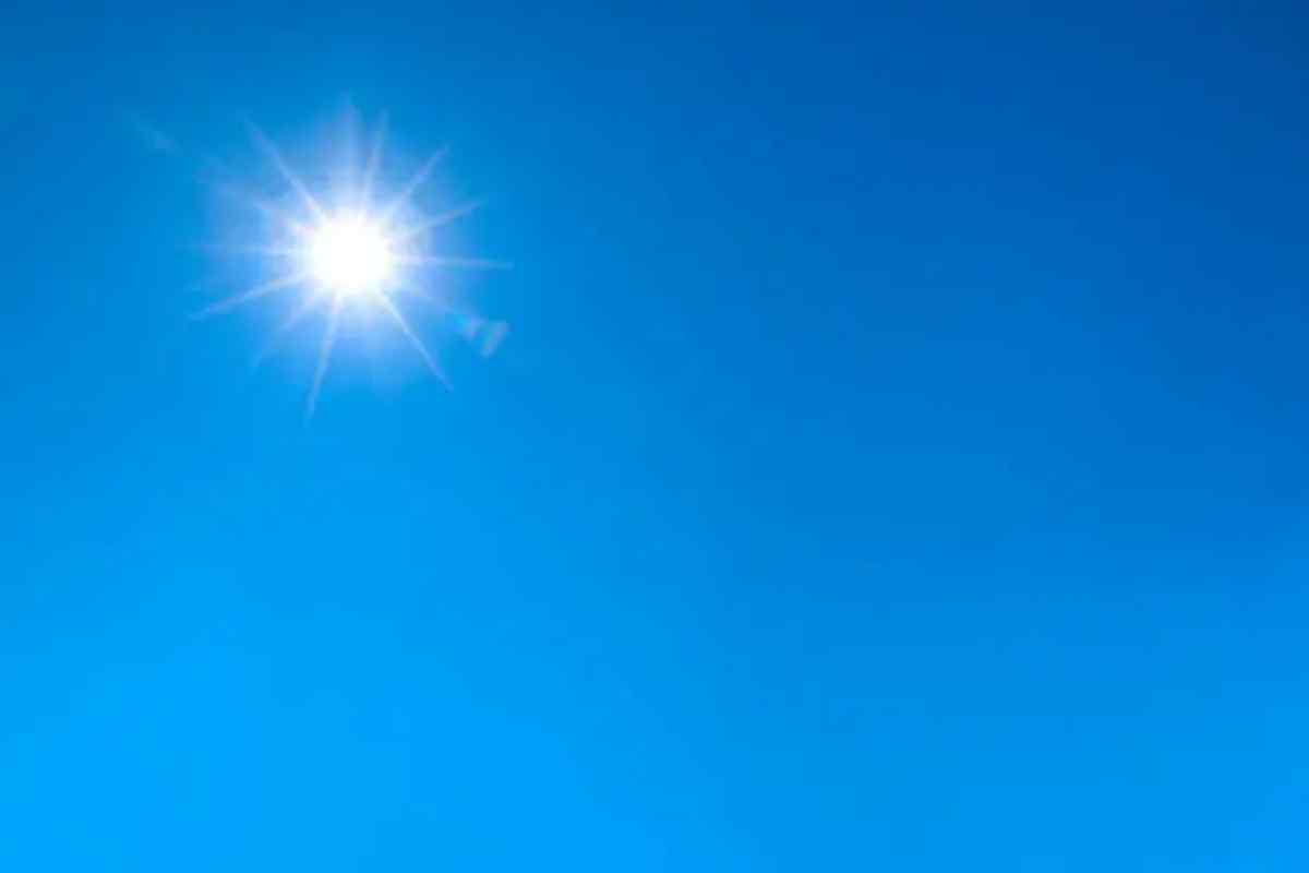 sole