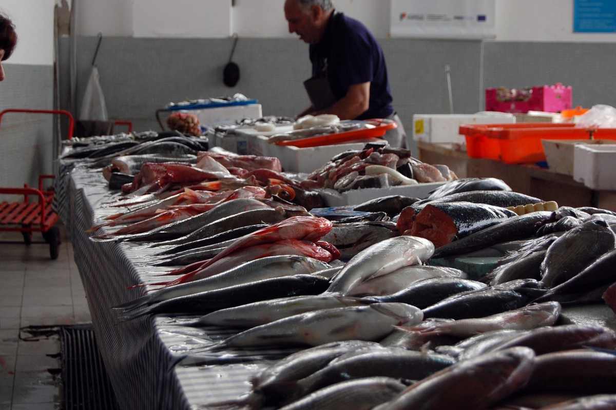 Panico in Italia, non mangiate questo pesce: allerta del Ministero Panico in Italia, non mangiate questo pesce: allerta del Ministero