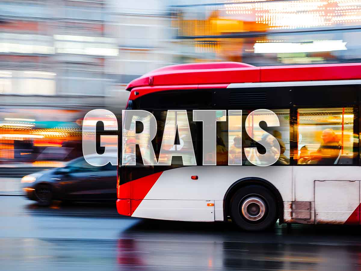 bus con scritta gratis