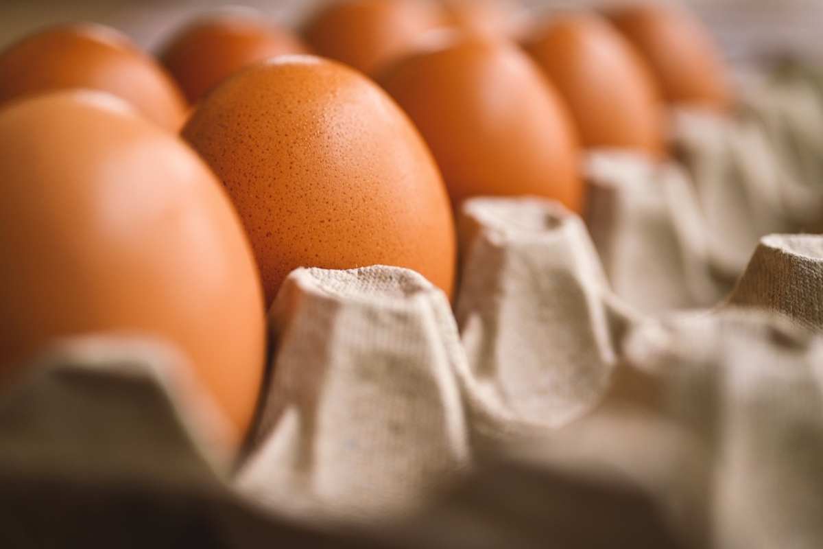 contenitore con delle uova