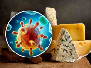 formaggio e un virus