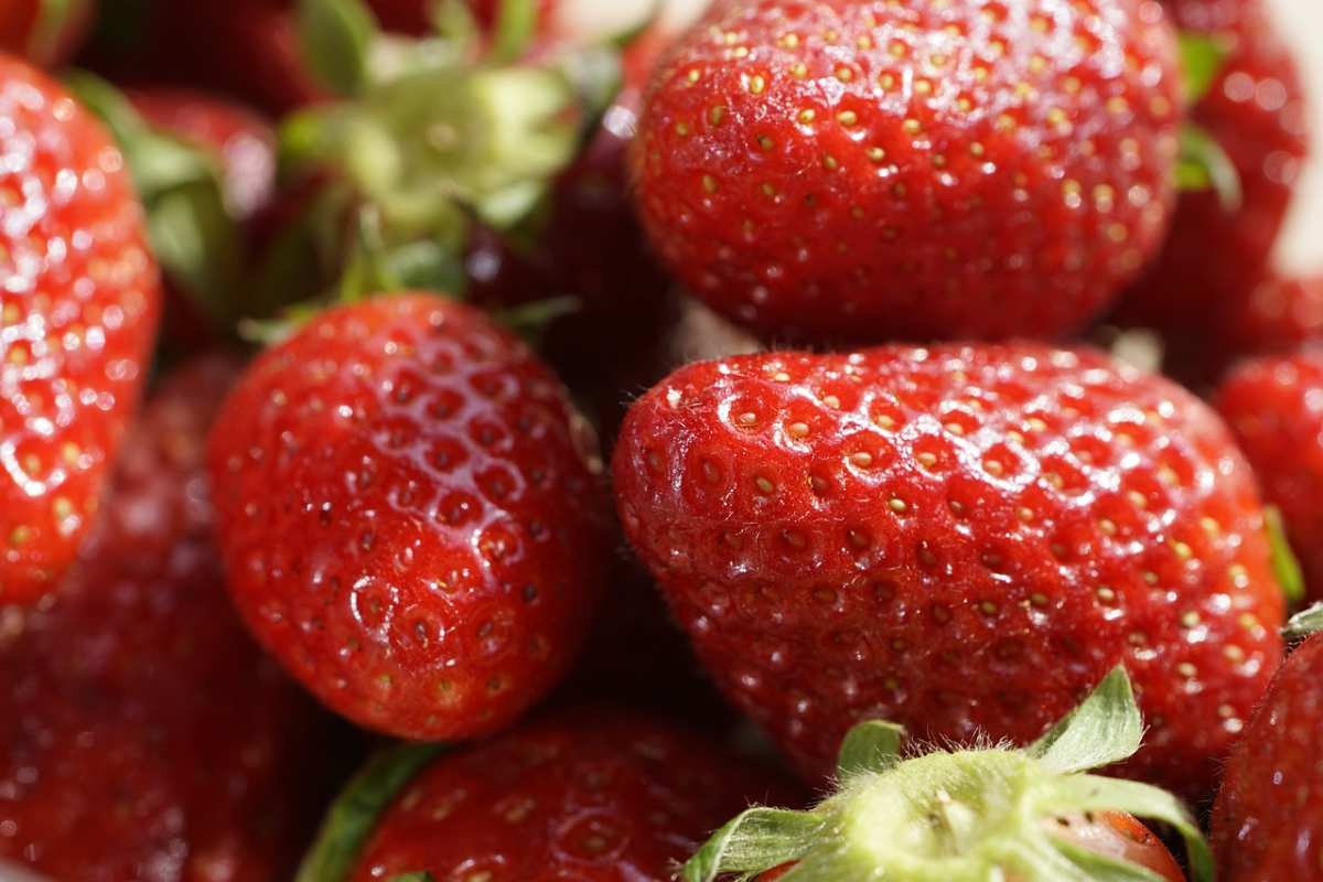 fragole