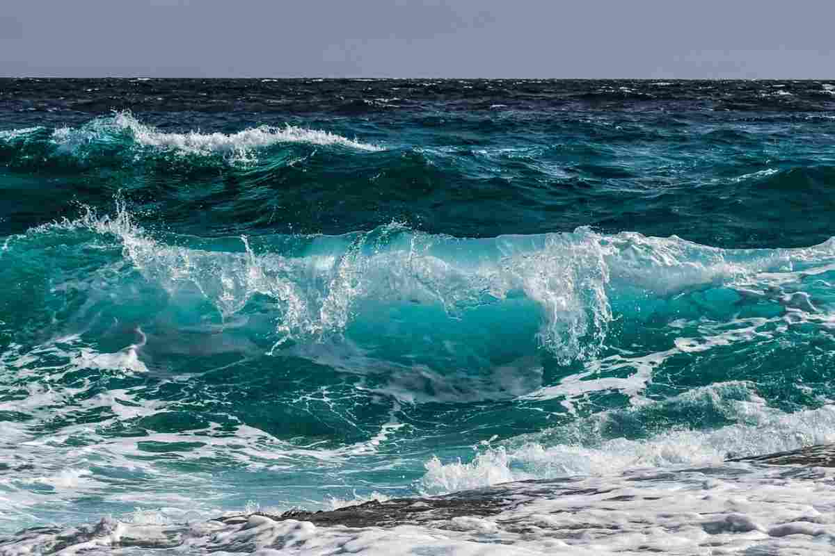 mare