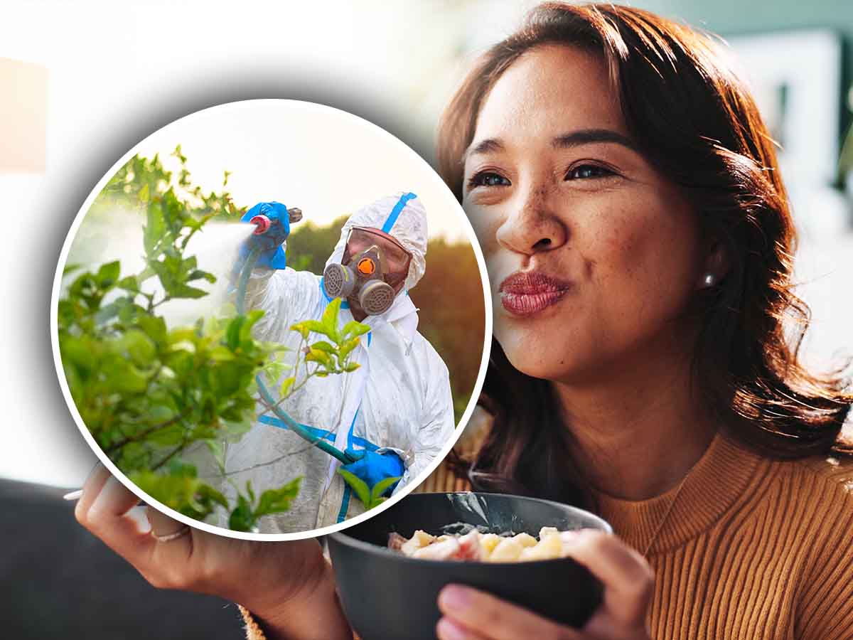 Lo mangiamo in ogni momento, ma scatta l’allarme: è pieno di pesticidi Lo mangiamo in ogni momento, ma scatta l’allarme: è pieno di pesticidi