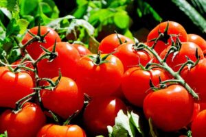 pomodori in grappolo
