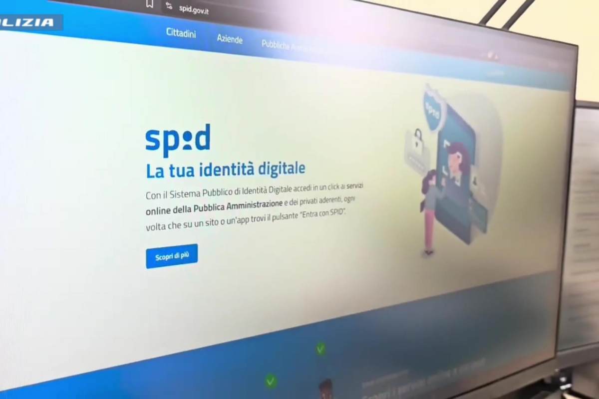 Spid truffa