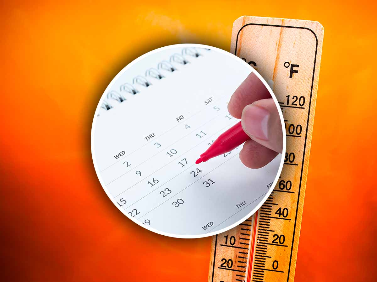 Il caldo non dà tregua, fino a questa data le temperature saranno estreme Il caldo non dà tregua, fino a questa data le temperature saranno estreme