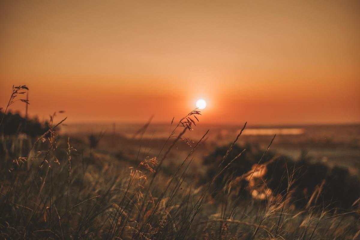 La pausa dal caldo è già finita, da questa data temperature torride in Italia La pausa dal caldo è già finita, da questa data temperature torride in Italia