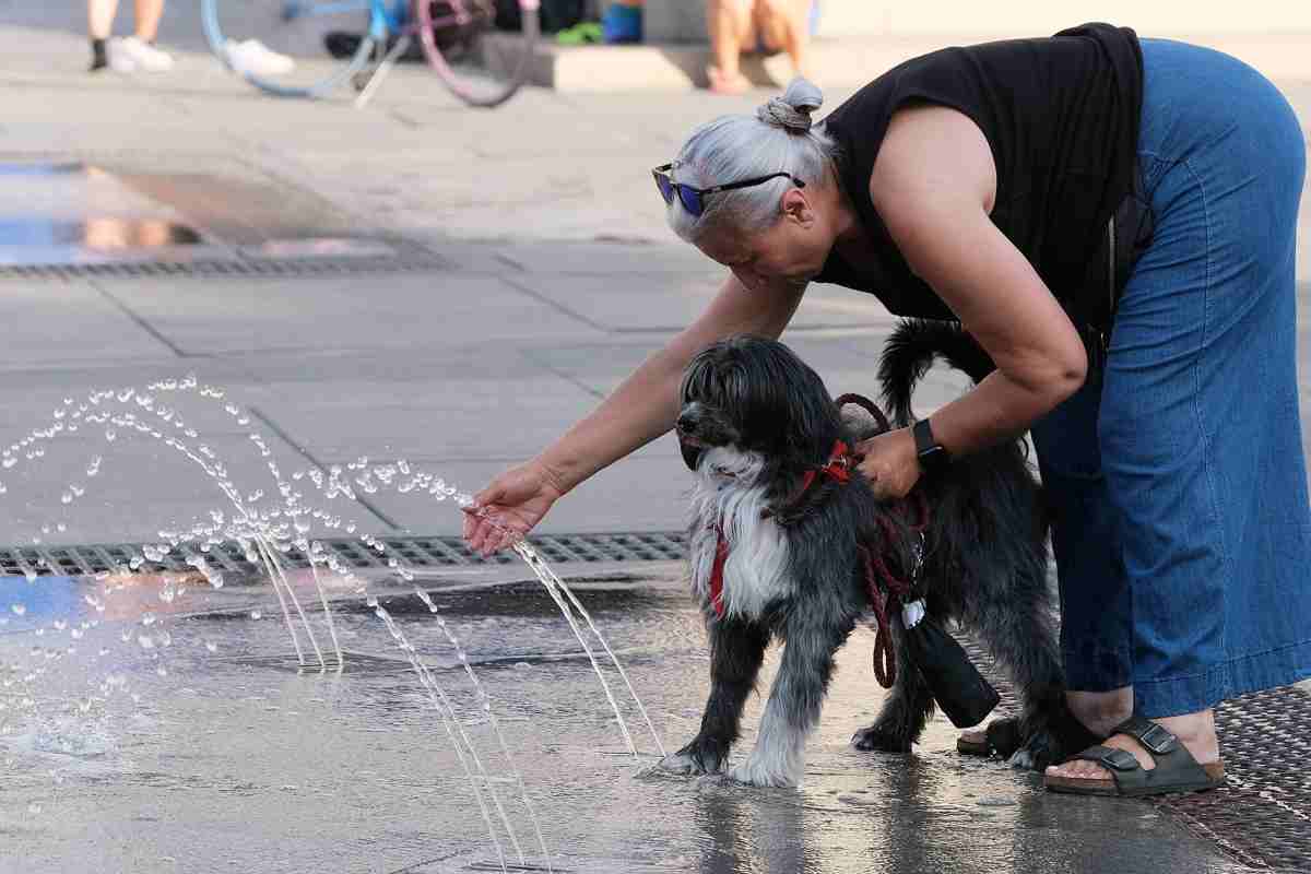Una signora e il suo cagnolino trovano refrigerio presso una fontana